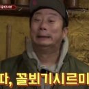 더 전집 이미지