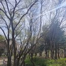 경안천습지생태공원 | 경기 광주 나들이 장소 추천 - 경안천습지생태공원