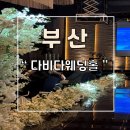 다비다 식당 | 부산 다비다웨딩홀 결혼식 하객 후기