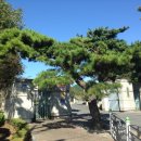 기산초등학교 앞 이미지