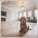 상정공원화장실 | 광교 골든두들분양 지역 주민의 솔직한 비교 체험과 상담 가이드