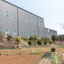 충남담배