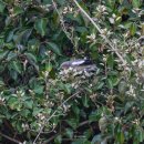 찌르레기 화장실 이미지