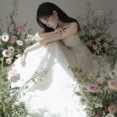 플라워앤스토리 | W05. 플라워디렉팅 로즈앤모어 계약 후기 | 볼라르 스튜디오 플라워디렉팅 | 플라워디렉팅 할인(짝꿍...