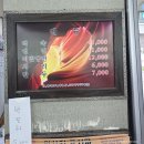 갑동숯골냉면 | 대전 현충원 냉면 맛집 갑동숯골냉면 솔직후기