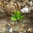 채수농장 이미지