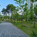 금강수변공원 숲바람장미원 이미지