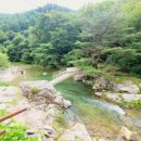 포시즌밸리계곡애견펜션 이미지