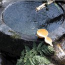 경수약품 이미지