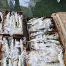 관포60&덕양수산