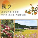 경동설렁탕