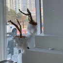 갈매카페거리 이미지