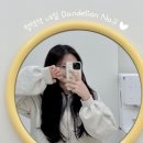 단델리온네일 이미지