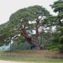 청천대로 이미지