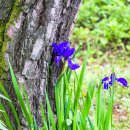 보탑사 주차장 이미지