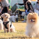 열린투어