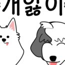 개앓이