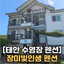 옐로우 펜션 | [태안 안면도 가족펜션] 장미빛인생펜션🌹 옐로우방 숙박후기