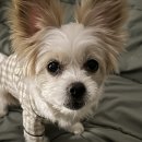 달뜨는목장 이미지