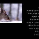 2024.12.12(M) : 영상시만들기 - 사슴 : 노천명 이미지