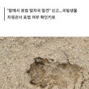 한국판 아마존이 되어가는 경북 영주 이미지