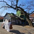 현대정미소 이미지