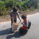 파랑새정원 이미지