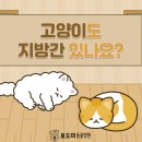 형곡동물병원 이미지