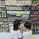 더 플라야(the PLAYA) | 플라야 델 카르멘 5번가 메인 스트리트｜맛집 Kascabal, 기념품 쇼핑, Portal Maya 해변까지