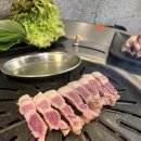 땅겹