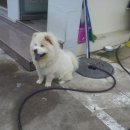 천지 노래연습장 이미지