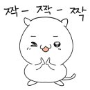 비바스파게티