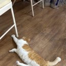 힐링도예 이미지