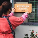 피피픽, 유기동물 보호소 발굴 프로젝트 ‘<b>이보소</b>’ 2차 캠페인 성료
