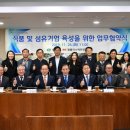 법인에프엔씨플러스
