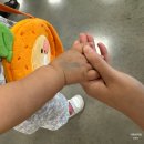 대동튼튼나라어린이집 | 트니트니 플러스 일산풍산점 여름학기 등록 후기 : 15개월 여아 내돈내산