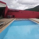 프라이빗핑크트리 이미지