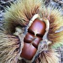 지암농장 이미지