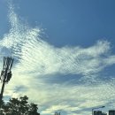 공차구미상모점 이미지