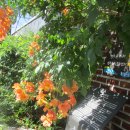 공마당길 이미지