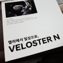 생존 소식 및 입장 표명