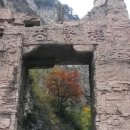 그리올라 이미지