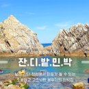 용화민박 이미지