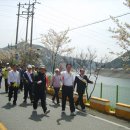 자양벚꽃100리길 이미지