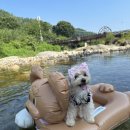 다복튜브