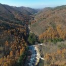 성수산 왕의숲 국민여가캠핑장 이미지