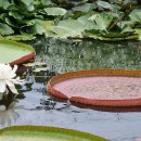 행운쉼터 이미지