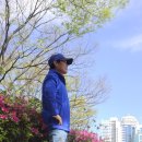 동작충효길 5코스 보라매길 | 동작 충효길 5코스 보라매길(25,4,20)