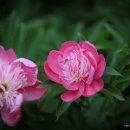 밝은세상마을 이미지