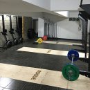 울산크로스핏SLB 네이버블로그